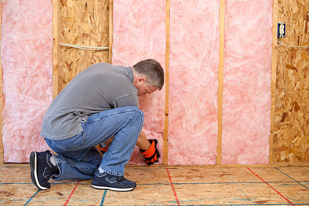 Best Basement Insulation  in Bunnell, FL